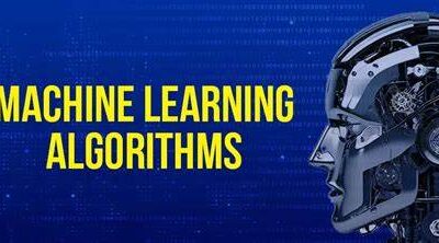 Top Machine Learning Algorithms Driving Innovation in 2024