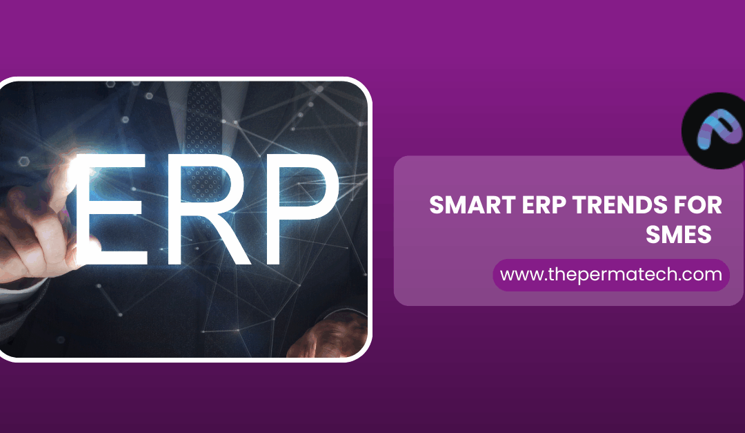 ERP Trends for SMEs: Real Time Data, AI and Micro Innovation in Manufacturing , Which Drives Better ROI?  