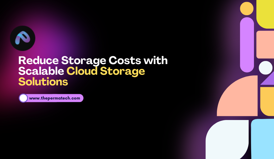 Scalable Cloud Storage Services by Perma Technologies